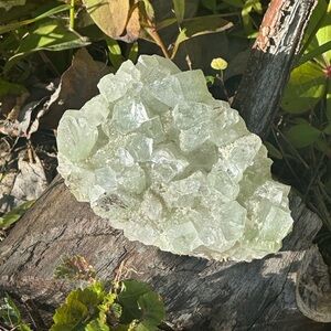 Apophyllite Cluster